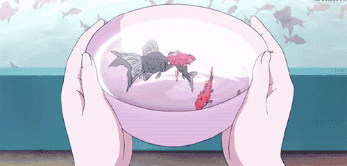 14961933972000.gif 13.gif